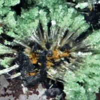 Lipscombite Chalcosiderite & Kidwellite