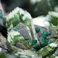 Olivenite Clinoclase & Cornwallite