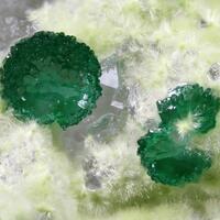 Cornwallite Olivenite & Agardite-(Ce)