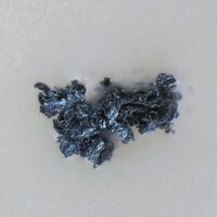 Ekplexite