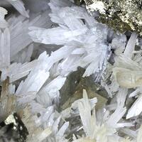 Bertrandite