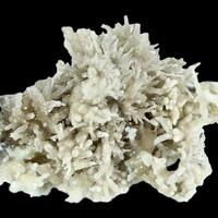 Aragonite