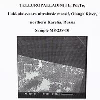 Telluropalladinite Telargpalite & Kotulskite