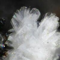 Penriceite Tomsquarryite & Elliottite