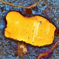 Cuproiridsite