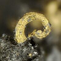 Gold & Tetradymite