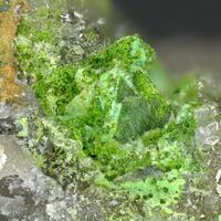 Cuprotungstite Psm Scheelite