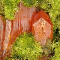 Crocoite Embreyite & Pyromorphite