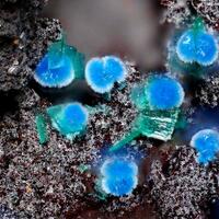 Connellite & Brochantite