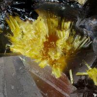 Heisenbergite Tyuyamunite & Metanováčekite