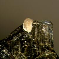 Hellandite Group On Phlogopite & Dawsonite On Sodalite