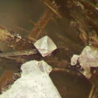 Ancylite-(Ce) On Astrophyllite-Kupletskite Series & Calcite With Kentbrooksite