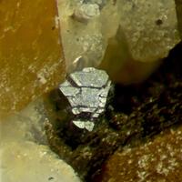 Columbite-(Fe) & Gmelinite-Na With Siderite & Muscovite