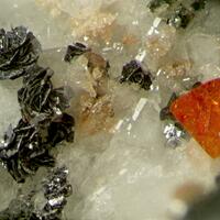 Eudialyte Group & Molybdenite With Amphibole