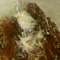 Lintisite & Raite On Eudialyte Group With Terskite Steenstrupine-(Ce) Gmelinite-Na & Sérandite