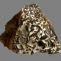 Hornblende With Almandine