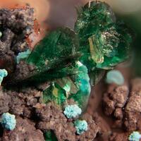 Clinoatacamite & Lavendulan