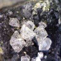 Arsenolite