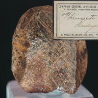 Monazite-(Ce)