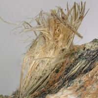 Carlosturanite