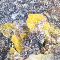 Abella Minerals: 26 Mar - 02 Apr 2024
