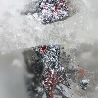 Abella Minerals: 22 Apr - 27 Apr 2024