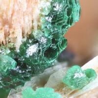 Adamite