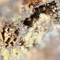 Beaverite-(Cu)