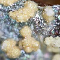 Bolivarite & Vashegyite