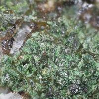 Arthurite