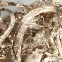 Native Silver