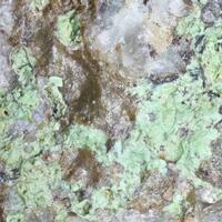 Chenevixite