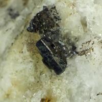 Tantalowodginite