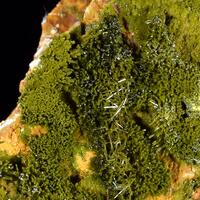 Pyromorphite