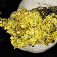 Gold & Arsenopyrite