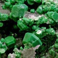 Torbernite