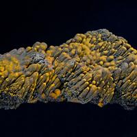 Limonite Psm Goethite