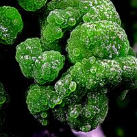 Conichalcite