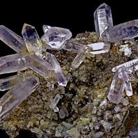 C.P Minerals: 05 May - 12 May 2025