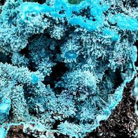 Chrysocolla Psm Psm Malachite Psm Azurite