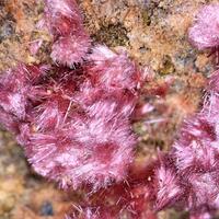 Erythrite