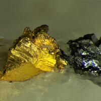 Gold & Tellurobismuthite