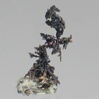 Canfieldite On Silver