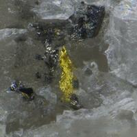 Gold & Tetrahedrite