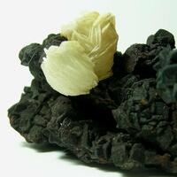 Baryte & Goethite Psm Siderite