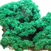 Chrysocolla Psm Chalcophyllite