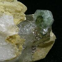 Apatite & Quartz