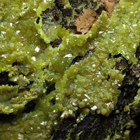 Pyromorphite