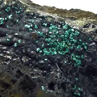 Pseudomalachite & Reichenbachite