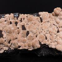 Cairoli Minerals: 22 Apr - 28 Apr 2024